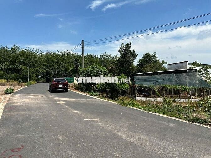 ĐẤT NỀN LONG TÂN DẦU TIẾNG 249M² – MT NHỰA XE HƠI, GIÁ TỐT 590 TRIỆU