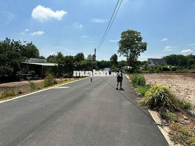 ĐẤT NỀN LONG TÂN DẦU TIẾNG 249M² – MT NHỰA XE HƠI, GIÁ TỐT 590 TRIỆU