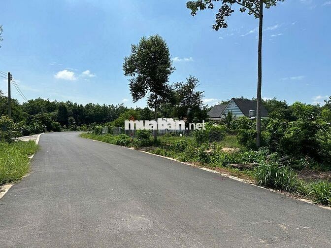 ĐẤT NỀN LONG TÂN DẦU TIẾNG 249M² – MT NHỰA XE HƠI, GIÁ TỐT 590 TRIỆU