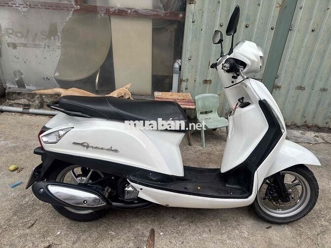 bán xe