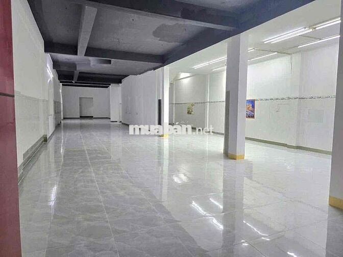 Cho thuê mặt bằng Cách Mạng Tháng 8, Chánh Nghĩa, Thủ Dầu Một - Diện t