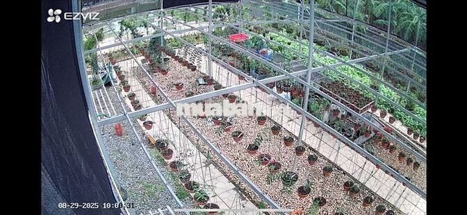 Đất nông nghiệp 3000m2 tại Đông Anh giá 3,XX tỷ