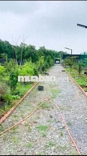 Đất nông nghiệp 3000m2 tại Đông Anh giá 3,XX tỷ