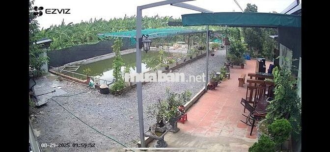 Đất nông nghiệp 3000m2 tại Đông Anh giá 3,XX tỷ