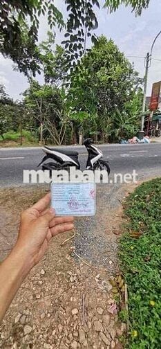 Luvias 125 Gtdd  xe bao mạnh