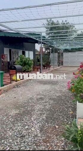 Đất nông nghiệp 3000m2 tại Đông Anh giá 3,XX tỷ