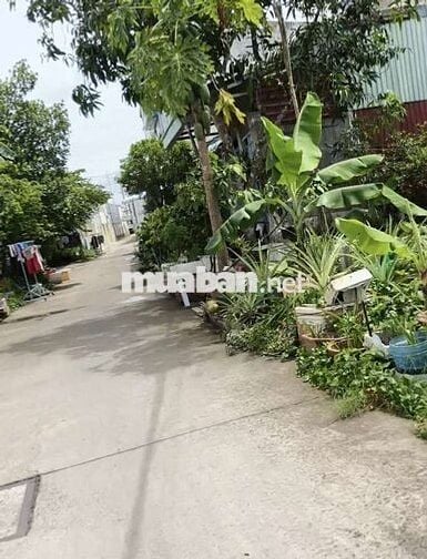 Bán nền thổ cư xéo cây xăng số 9 nguyễn văn linh vào 200m lộ ô tô