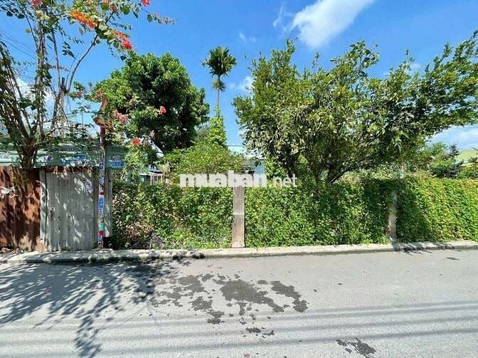Đất đẹp mặt tiền Nguyễn Hiền gần chợ Xóm Vắng và kcn Sóng Thần Dĩ An