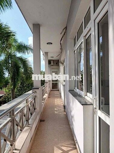 Cho thuê kho xưởng 5000m2, MT Dương Đình Cúc Tân Kiên Bình Chánh