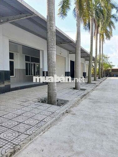Cho thuê kho xưởng 5000m2, MT Dương Đình Cúc Tân Kiên Bình Chánh
