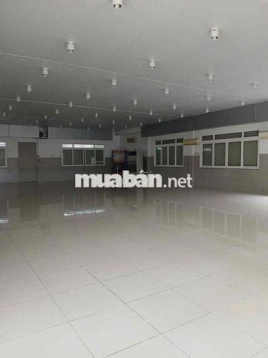 Cho thuê kho xưởng 5000m2, MT Dương Đình Cúc Tân Kiên Bình Chánh