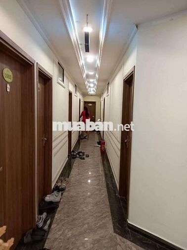 Bán Nhà Trần Thái Tông Cầu Giấy 305m2  98 Phòng thu 600tr Tháng