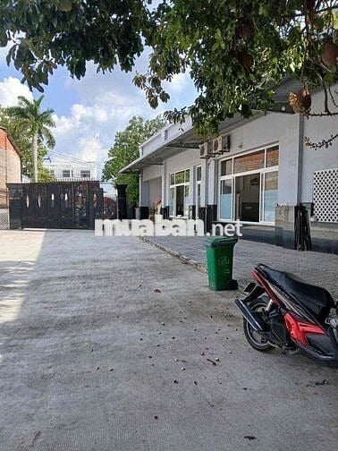 Cho thuê kho xưởng 5000m2, MT Dương Đình Cúc Tân Kiên Bình Chánh