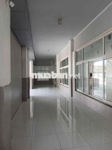 Cho thuê kho xưởng 5000m2, MT Dương Đình Cúc Tân Kiên Bình Chánh