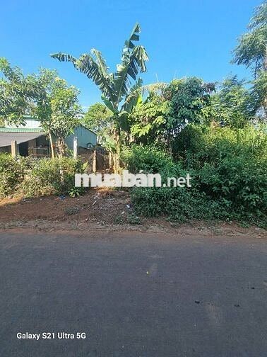 Đất mặt tiền Kinh Doanh đường nhựa QH 18m (chính chủ)