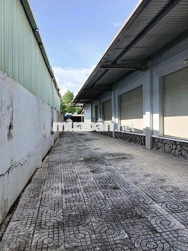 Cho thuê kho xưởng 5000m2, MT Dương Đình Cúc Tân Kiên Bình Chánh