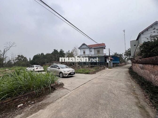 Bán Đất - Thái Lai (Minh Trí) - 67M2 Full Thổ Cư - 1,5 Tỷ