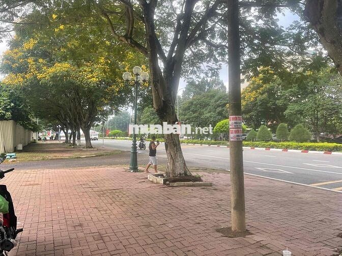 Cần cho thuê góc 2 mt đường Nguyễn Hữu Cảnh , Nhơn Trạch