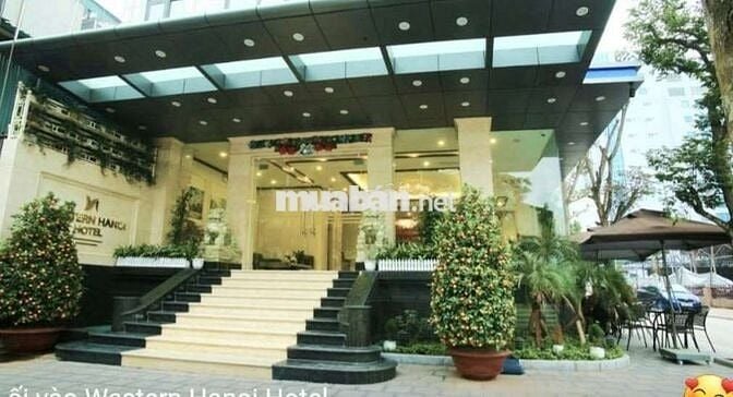 Bán Nhà Lô Góc Mặt Phố Trần Thái Tông 160m2 13 tầng mặt tiền 25m 199Ty