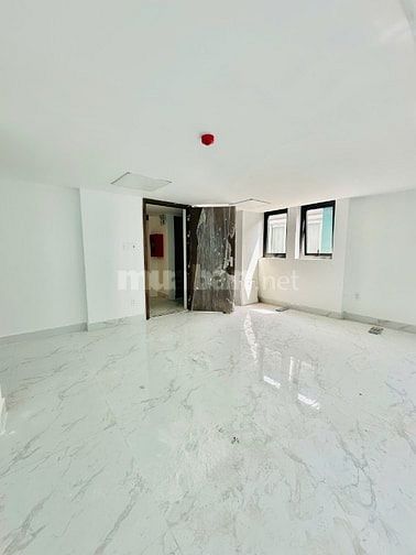 Cho thuê nhà khu biệt thự 52B Hoa Đào, P2, Q Phú Nhuận