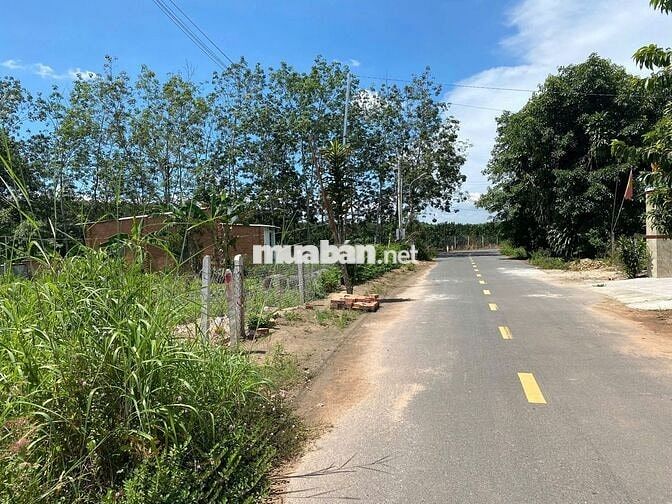 Chú Tám cần bán đất vườn trái cây sẳn nhà cấp4 ở Bình Dương, DT 2541m2
