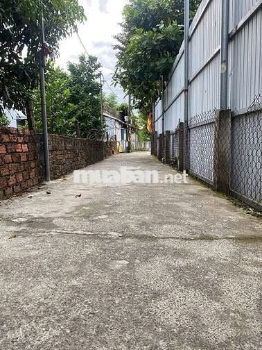 ✅Bán lô đất sạch đẹp nở hậu phường Cẩm Lệ.