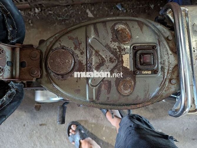 81 đời  cao máy im