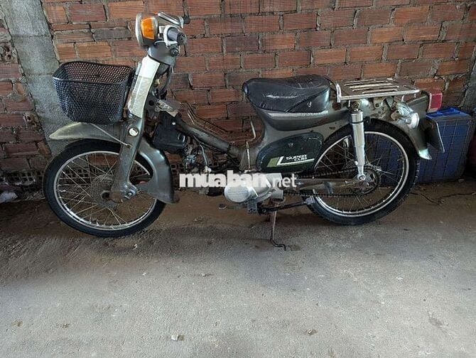 81 đời  cao máy im