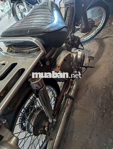 81 đời  cao máy im