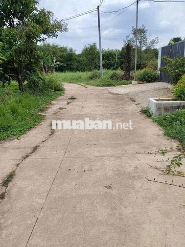 🌳 Chính chủ cần bán 1000m² vườn cây ăn trái ngay trung tâm phường Bình