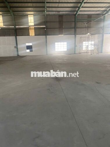 Cho thuê kho xưởng 1.300m2–2.500m2 ngoài KCN Bến Lức Long An, cont 24H