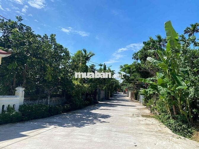 Bán nhà 2T Bùi Thị Xuân mát mẻ cạnh Sông Hương không lụt