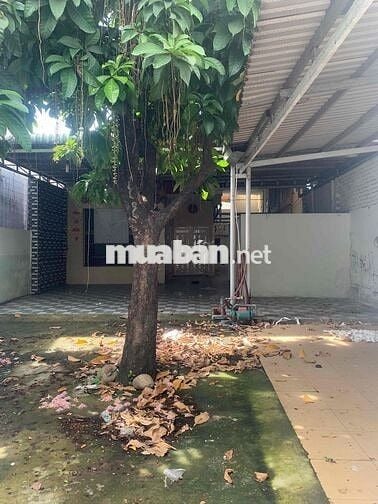 ✨ NHÀ C4 – LINH ĐÔNG THỦ ĐỨC – 339M², NGANG 8,1M, XÂY CHDV 9 TẦNG ✨