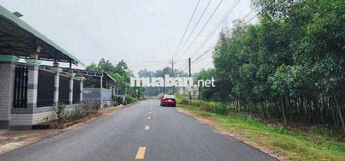 Đất Nền Sân Bay Long Thành Cơ Hội Đón Đầu Cho Nhà Đầu Tư