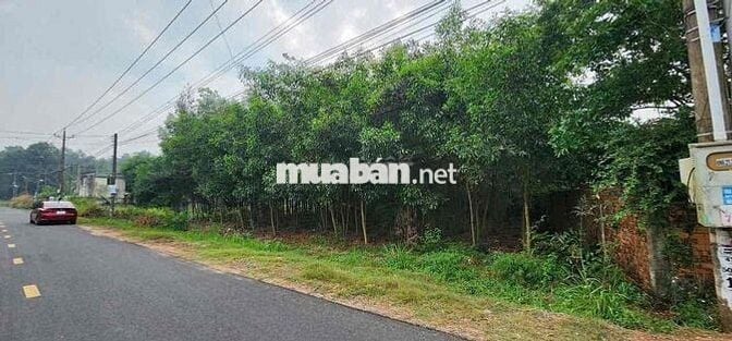 Đất Nền Sân Bay Long Thành Cơ Hội Đón Đầu Cho Nhà Đầu Tư