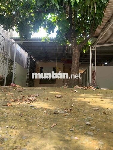✨ NHÀ C4 – LINH ĐÔNG THỦ ĐỨC – 339M², NGANG 8,1M, XÂY CHDV 9 TẦNG ✨