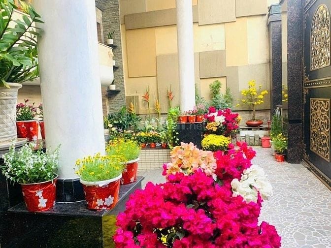 6 tầng ngang 9m Nguyễn Minh Hoàng Tân Bình ngay nhà ga T3 giá 54 tỷ 