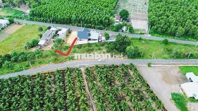 CHỦ NGỘP BANK CẦN RA GẤP LÔ ĐẤT NGANG 7 TẠI PHƯỚC HẢI