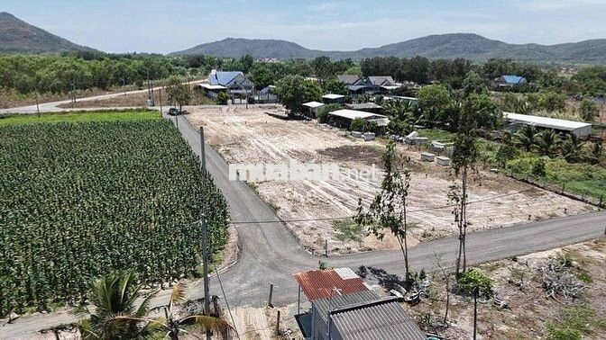 Chính chủ cần bán đất mặt tiền – pháp lý rõ ràng