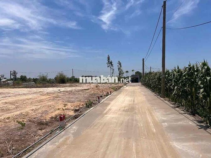 Chính chủ cần bán đất mặt tiền – pháp lý rõ ràng