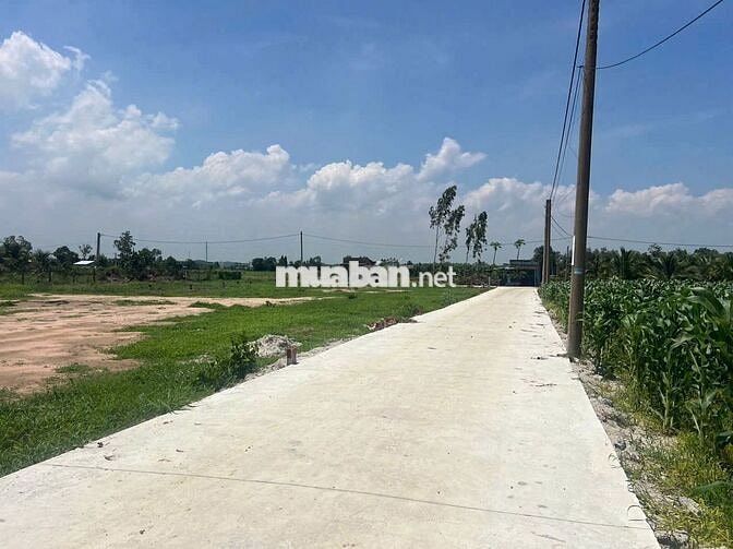 🔥 Hàng hiếm Phước Hải – Đất nền chưa đến 1 TỶ – Tiềm năng tăng giá