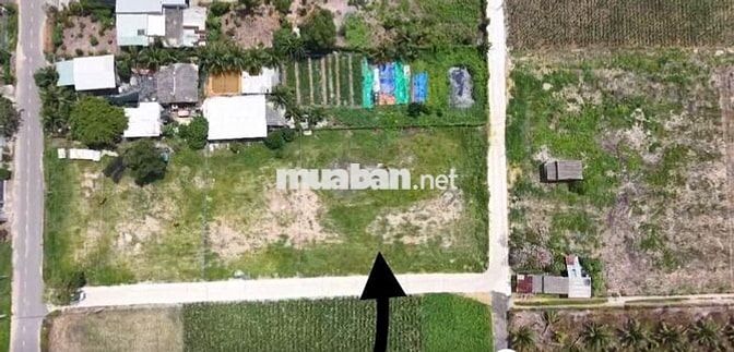 🔥 Hàng hiếm Phước Hải – Đất nền chưa đến 1 TỶ – Tiềm năng tăng giá