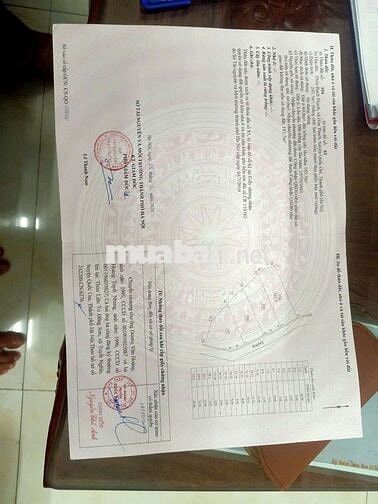 CC BÁN ĐẤT LÀN 2 TRỤC CHÍNH LIÊNHUYỆN HÒATHẠCH QUỐCOAI 245,7M GIÁ3,8TỶ