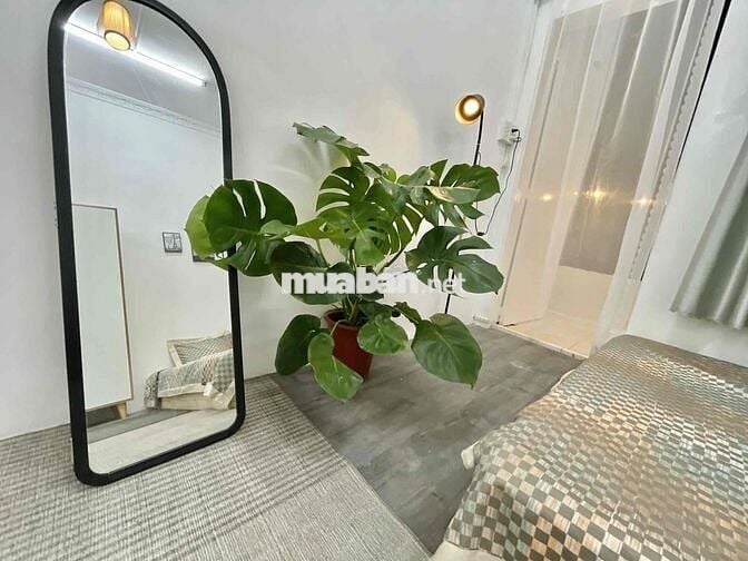 Studio - Hồ Biểu Chánh - Phú Nhuận