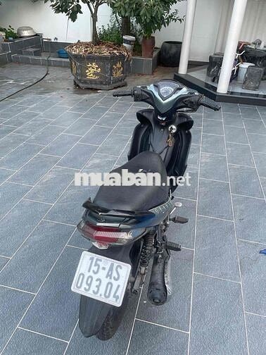 xe zin chất