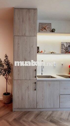 Bán gấp CH 1PN, 2,6 tỷ, 53m2 tại Ascent Lakeside, Q7, HCM