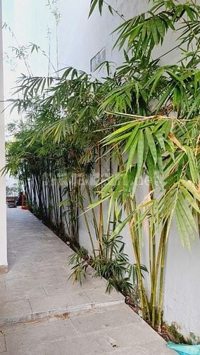BIỆT THỰ CÂY XANH, SÂN VƯỜN NGAY KHU DÂN CƯ GÒ CÁT 4PN FULL NỘI THẤT