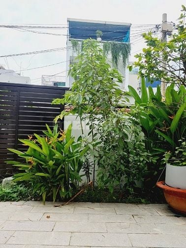 BIỆT THỰ CÂY XANH, SÂN VƯỜN NGAY KHU DÂN CƯ GÒ CÁT 4PN FULL NỘI THẤT