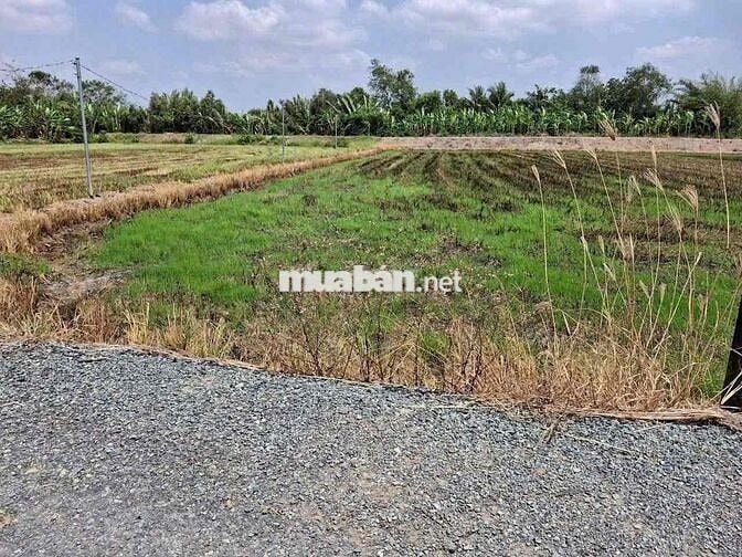 thổ cư , DT:175m2 , giá : 399tr , xã mỹ thạnh - thủ thừa - long an