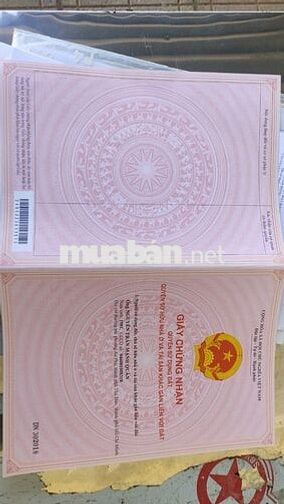 Đất có nhà Cấp 4 mới , mặt đường bê tôn 68m x 80m sổ hồng chính chủ